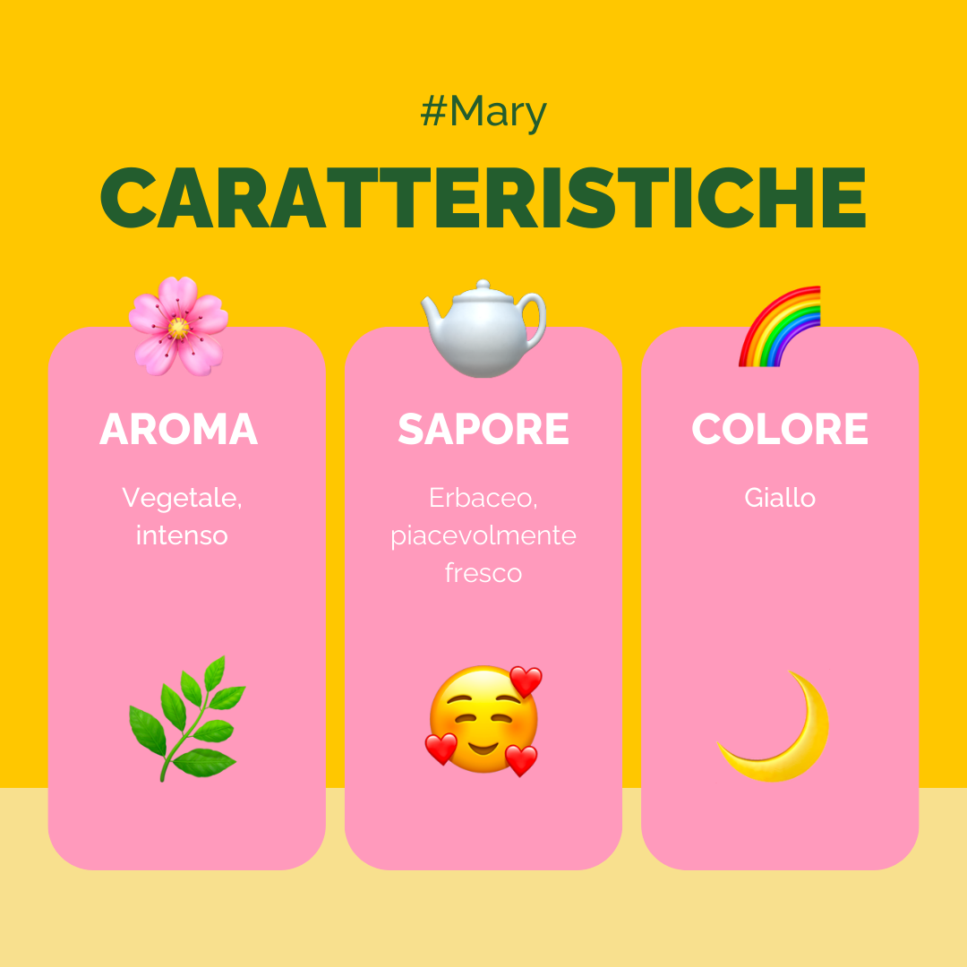 Mary Jar